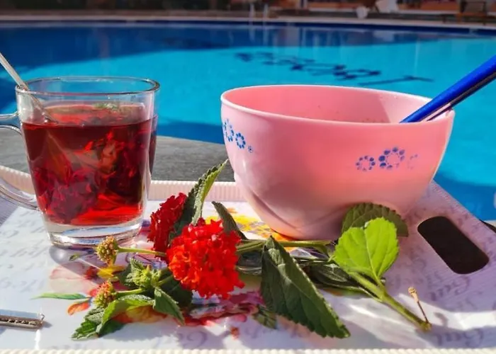 Oasis Resort-nice -b31-al Ahyaa -